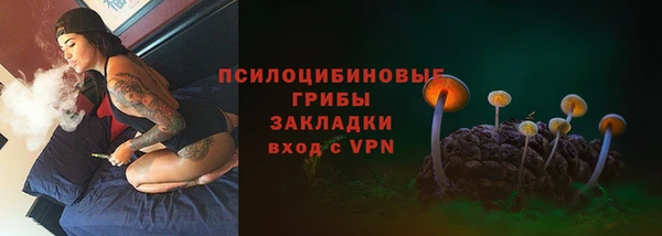 молекула духа Алзамай
