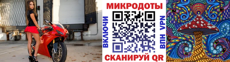 Псилоцибиновые грибы Cubensis  Богородицк 